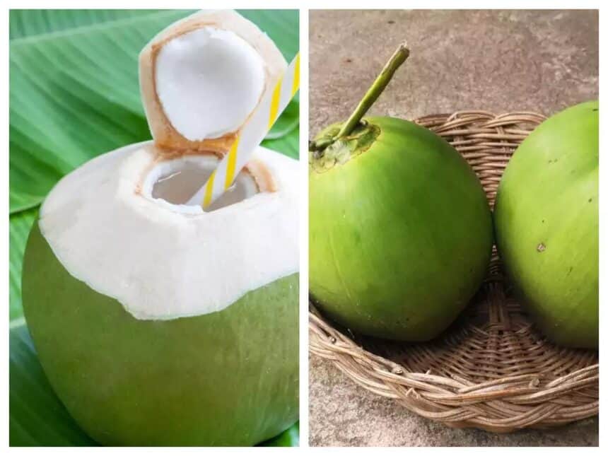 coconut water