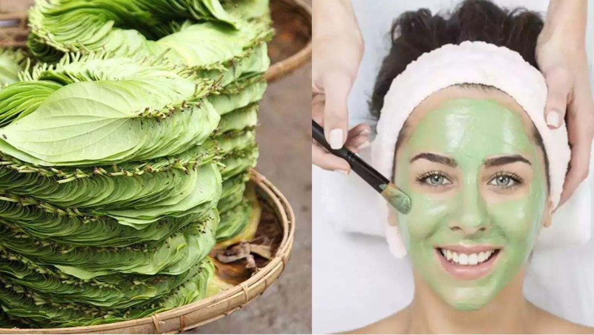 Skin Care Tips: ત્વચા માટે સોપારીના પાનનો ઉપયોગ કરવાથી તમને આશ્ચર્ય થશે, માત્ર એક નહીં પણ ઘણા ફાયદા.