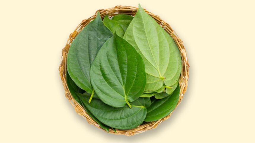 betel 1