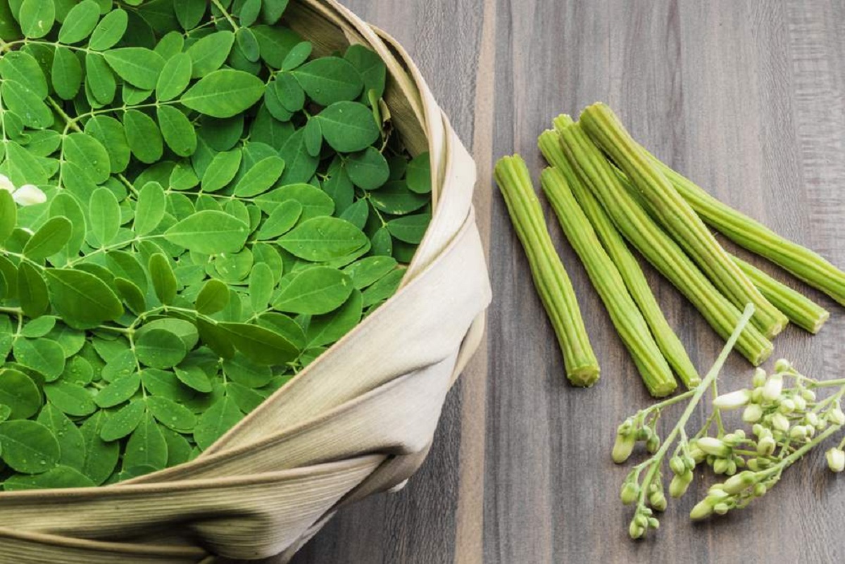 moringa leaves