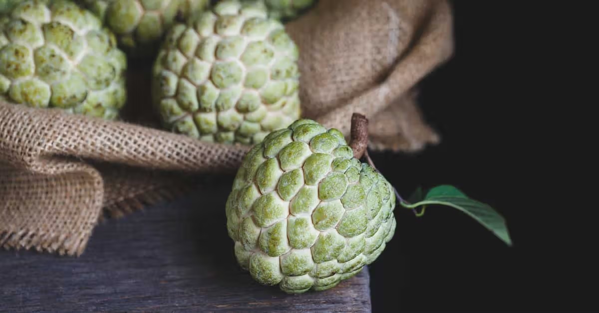 Custard Apple