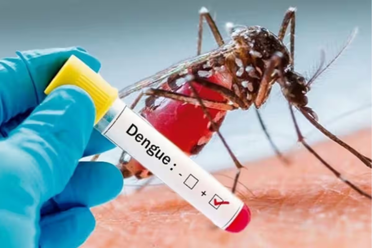 Dengue In India