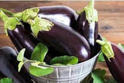 Brinjal Side Effects.23