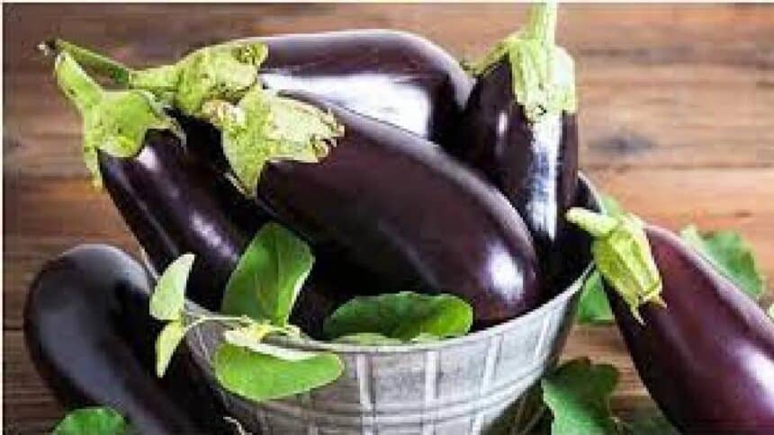 Brinjal Side Effects.23