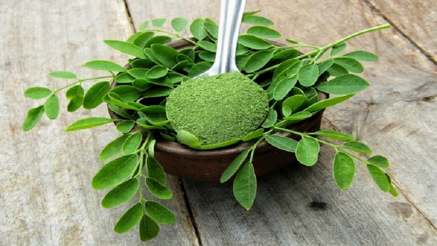 moringa leaves