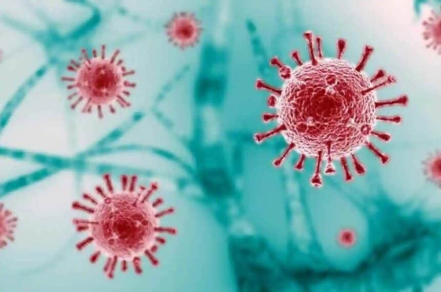 New Year Coronavirus