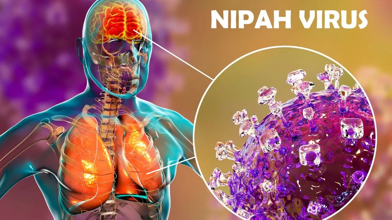 Nipah Virus: કેરળમાં નિપાહ સંક્રમિત વ્યક્તિનું મૃત્યુ એ ખતરાની ઘંટડી છે?