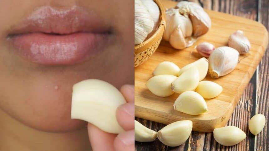 garlic