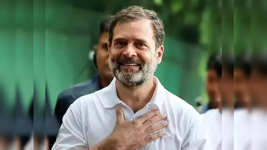 rahul gandi