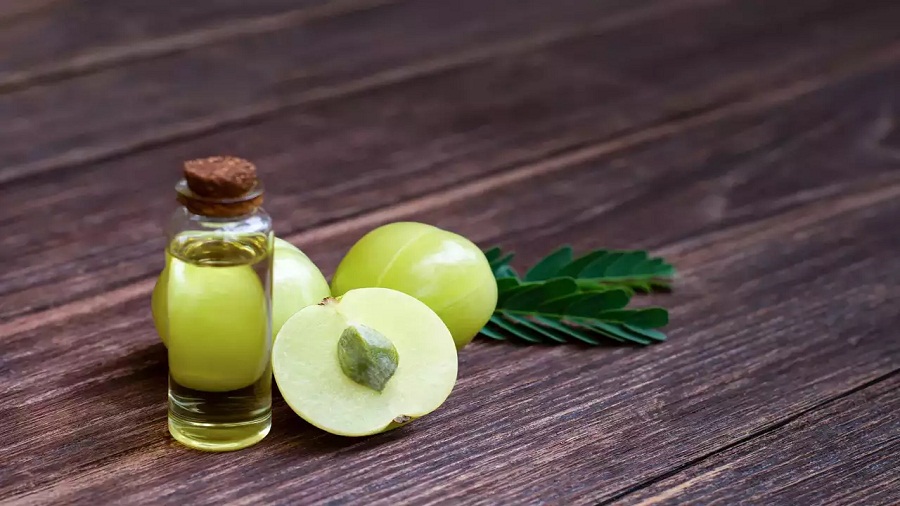 Amla Oil Vs Coconut Oil