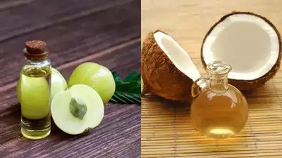 Amla Oil Vs Coconut Oil