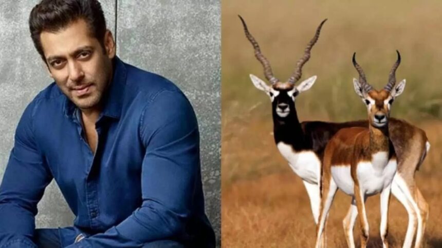 black buck 5