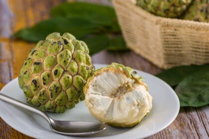 Custard Apple1