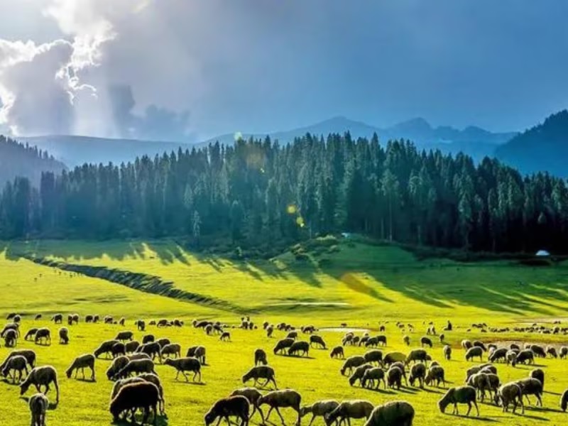 bangus valley heavenly beautiful place in kashmir the views will make your heart melt2