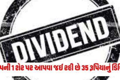 dividend