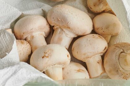 easy way to store mushroom for a long time