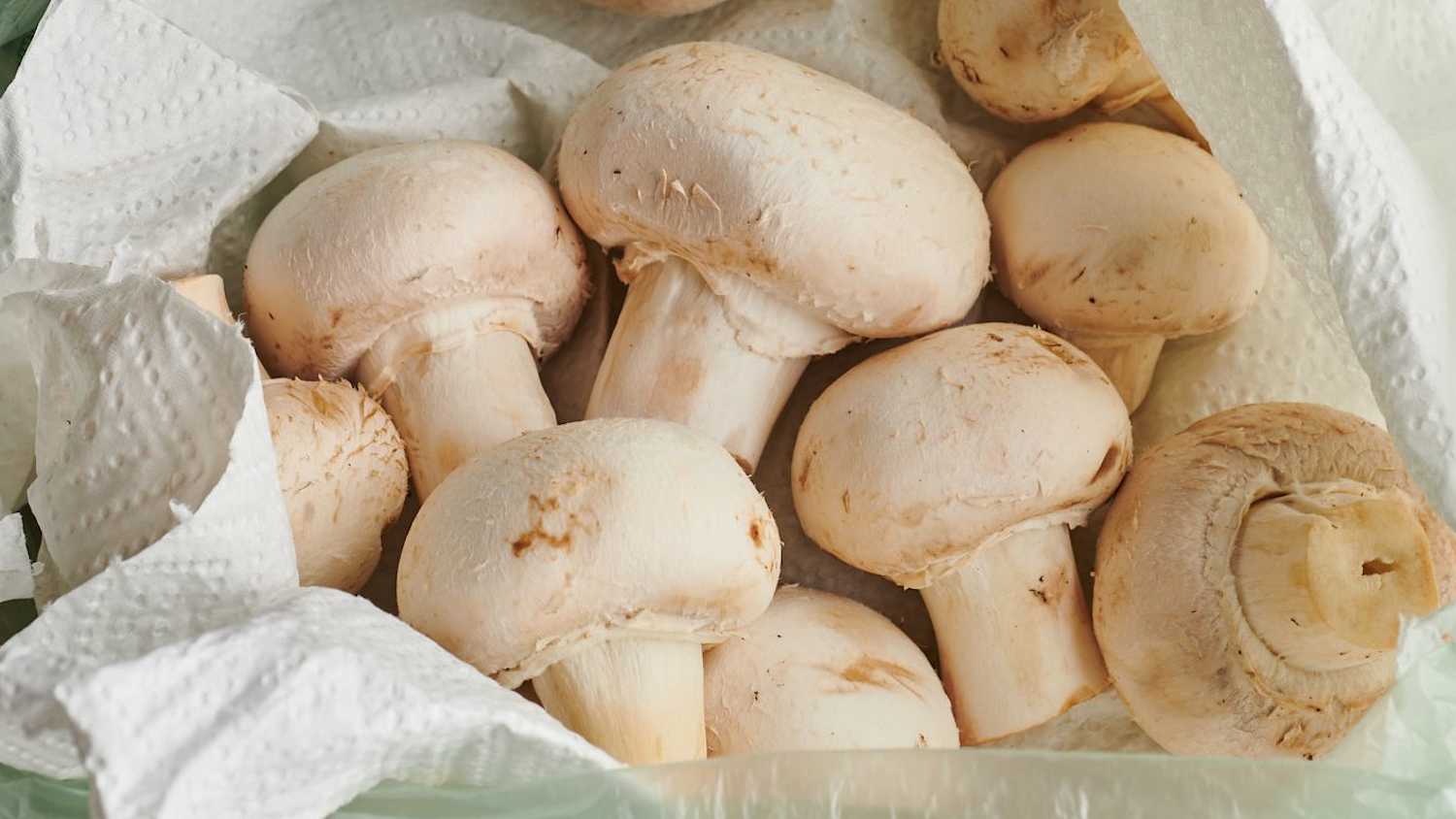 easy way to store mushroom for a long time