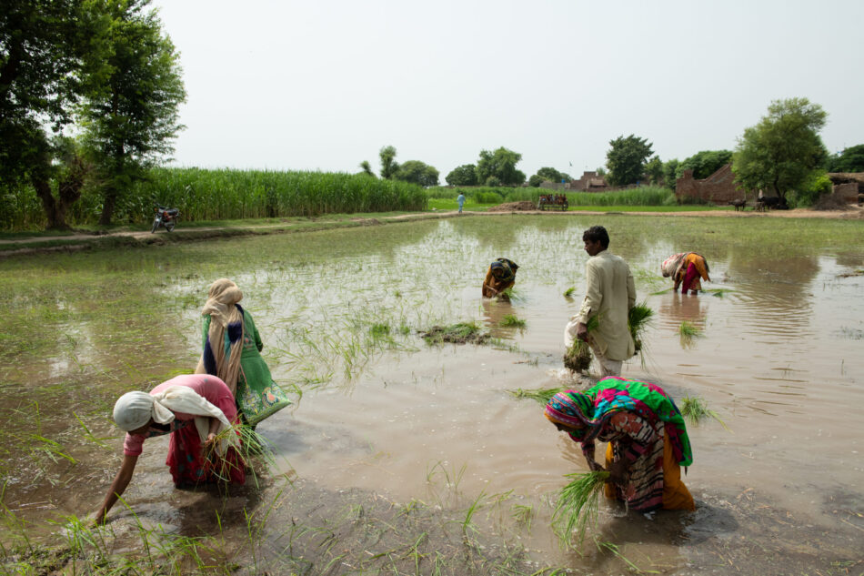 gujarat government increased amount chief minister crop storage structure scheme for farmersewr