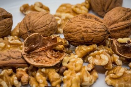 walnuts benefits for health controls free radicals weight healthy brain health tips