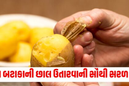 Gujju Media Feature Photo 58