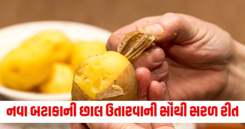 Gujju Media Feature Photo 58