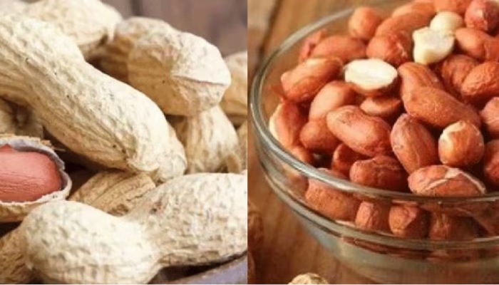 eat a handful of soaked peanuts in the winter morning you will get amazing health benefits know the right way to consume it412