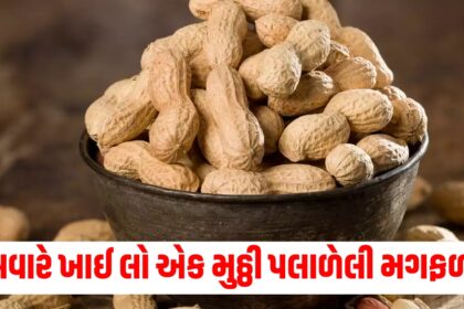 eat a handful of soaked peanuts in the winter morning you will get amazing health benefits know the right way to consume it457