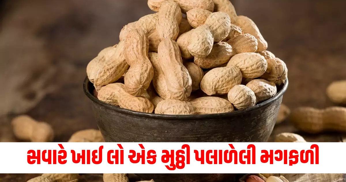 eat a handful of soaked peanuts in the winter morning you will get amazing health benefits know the right way to consume it457