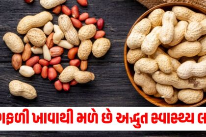 eating peanuts provides many health benefits know why it should be consumed in winters mungfali