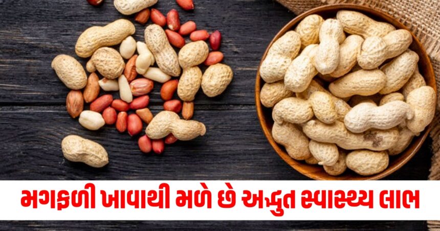 eating peanuts provides many health benefits know why it should be consumed in winters mungfali