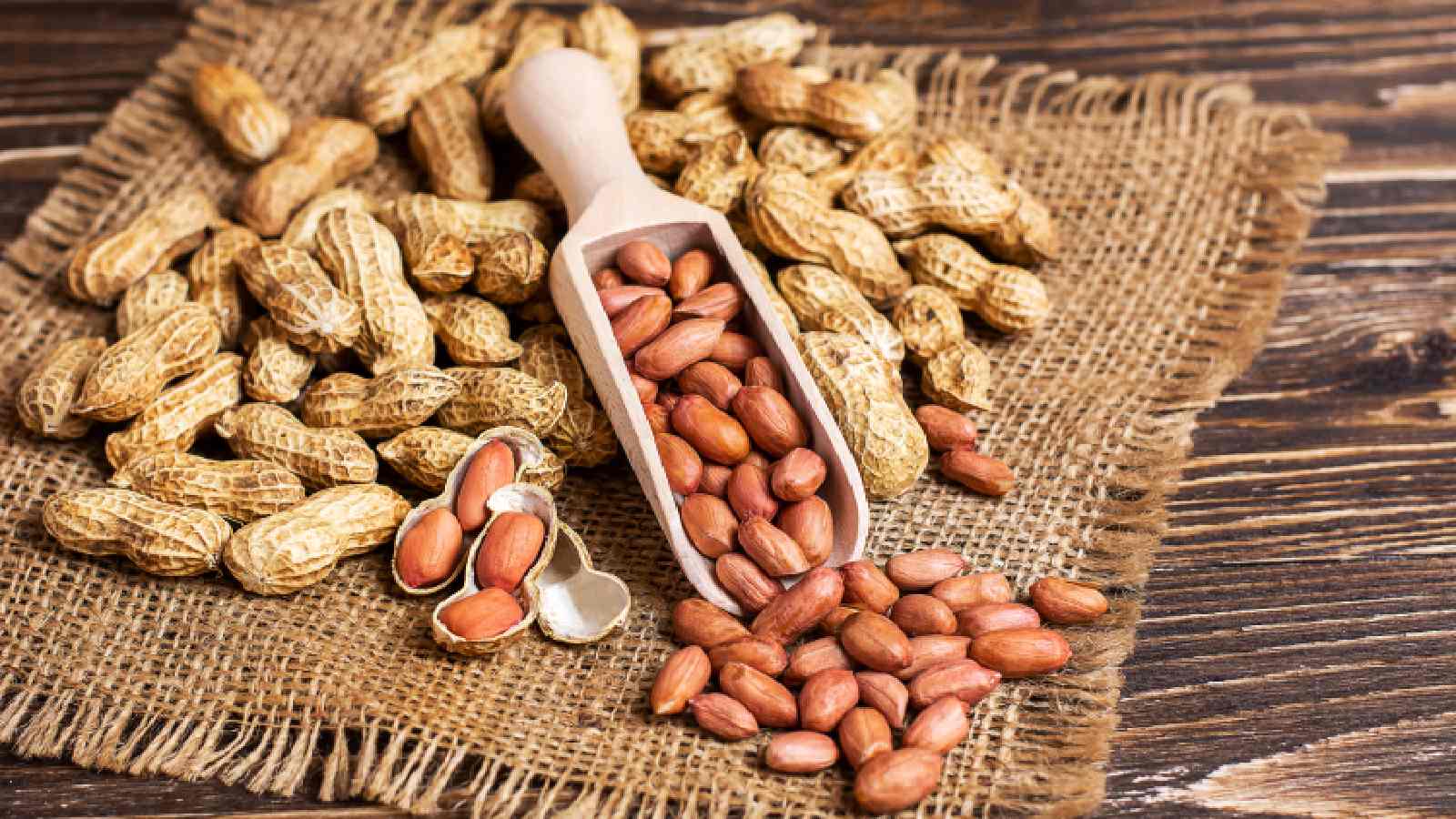 eating peanuts provides many health benefits know why it should be consumed in winters mungfali1