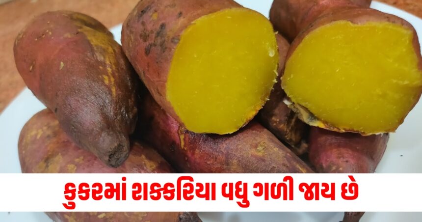 how to cook sweet potatoes in cooker without water shakarkandi