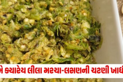 how to make green chilli garlic chutney must try this spicy recipe