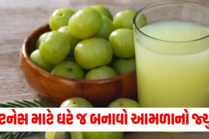 how to make tasty amla juice easy recipe to follow at home87