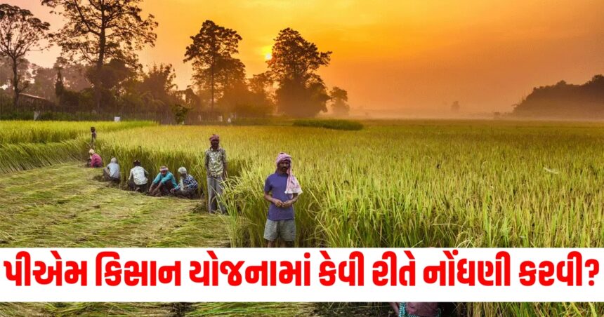 how to register in pm kisan yojana know which farmers do not get its benefit765