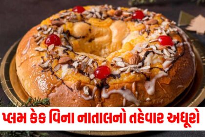 know how to make plum cake in christmas in hindi plum cake kaise banaye