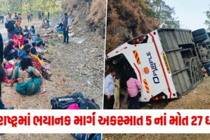 road accident in raigarh private bus going wedding overturned many death and injured