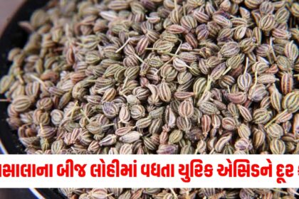 what are the benefits of ajwain water in uric acid how to make ajwain ka pani for gout