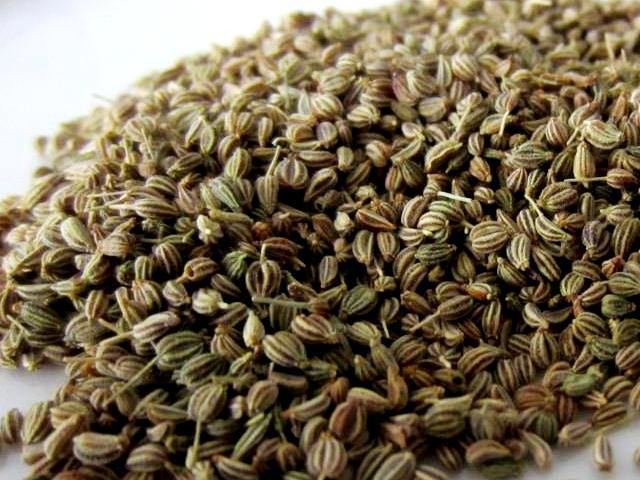 what are the benefits of ajwain water in uric acid how to make ajwain ka pani for gout