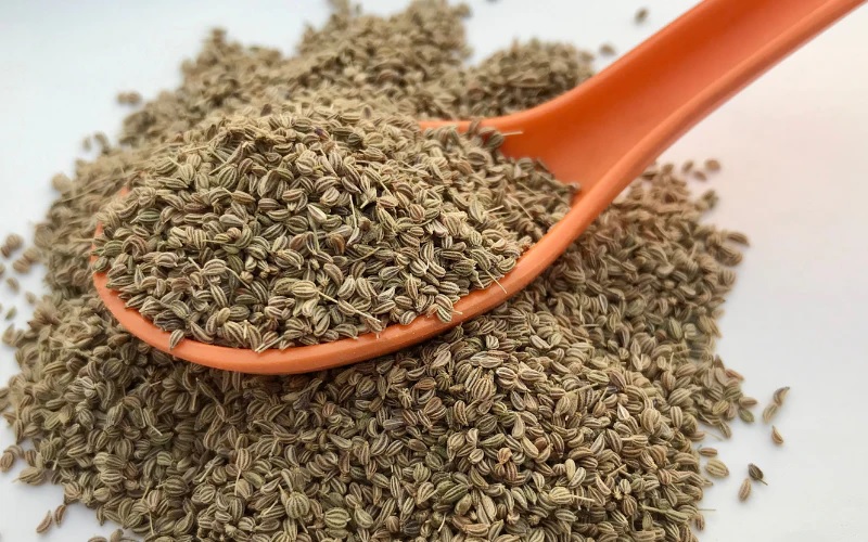 what are the benefits of ajwain water in uric acid how to make ajwain ka pani for gout1