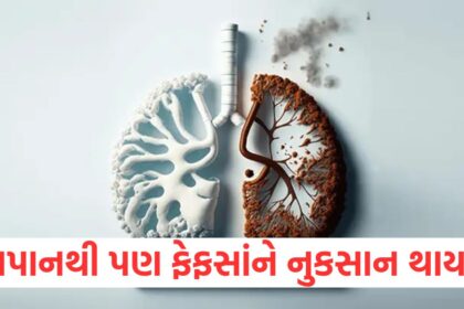 GUJJU MEDIA FEATURE PHOTO 1 6