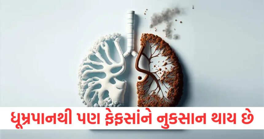 GUJJU MEDIA FEATURE PHOTO 1 6