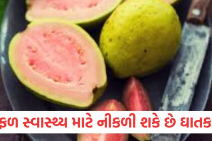 GUJJU MEDIA FEATURE PHOTO 33