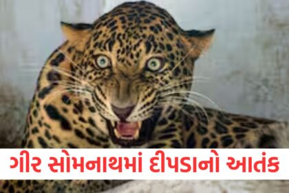 GUJJU MEDIA FEATURE PHOTO 6 8