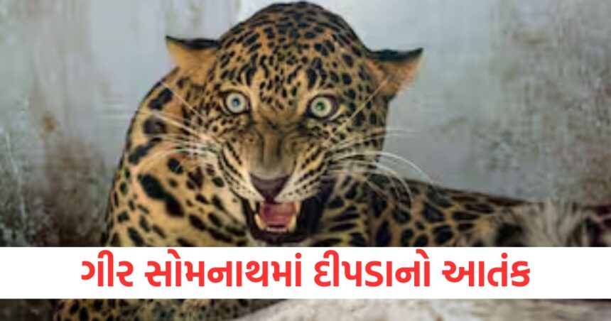 GUJJU MEDIA FEATURE PHOTO 6 8