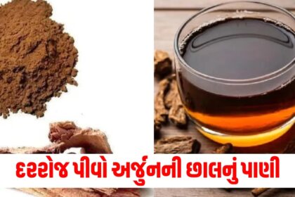 arjun ki chaal health benefits from blood pressure to diabetes