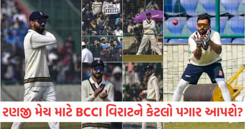 cricket how much salary will bcci give to virat to play ranji match know the fee of king kohli in match against railwaysWER