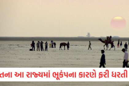 earthquake 3 2 magnitude tremor hits kutch in gujarat no casualty