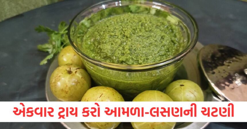 how to make amla garlic spicy chutney in winter season