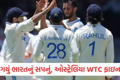 ind vs aus team india lost sydney test australia clinches border gavaskar trophy 2024 25 after 10 years also reached in the wtc final